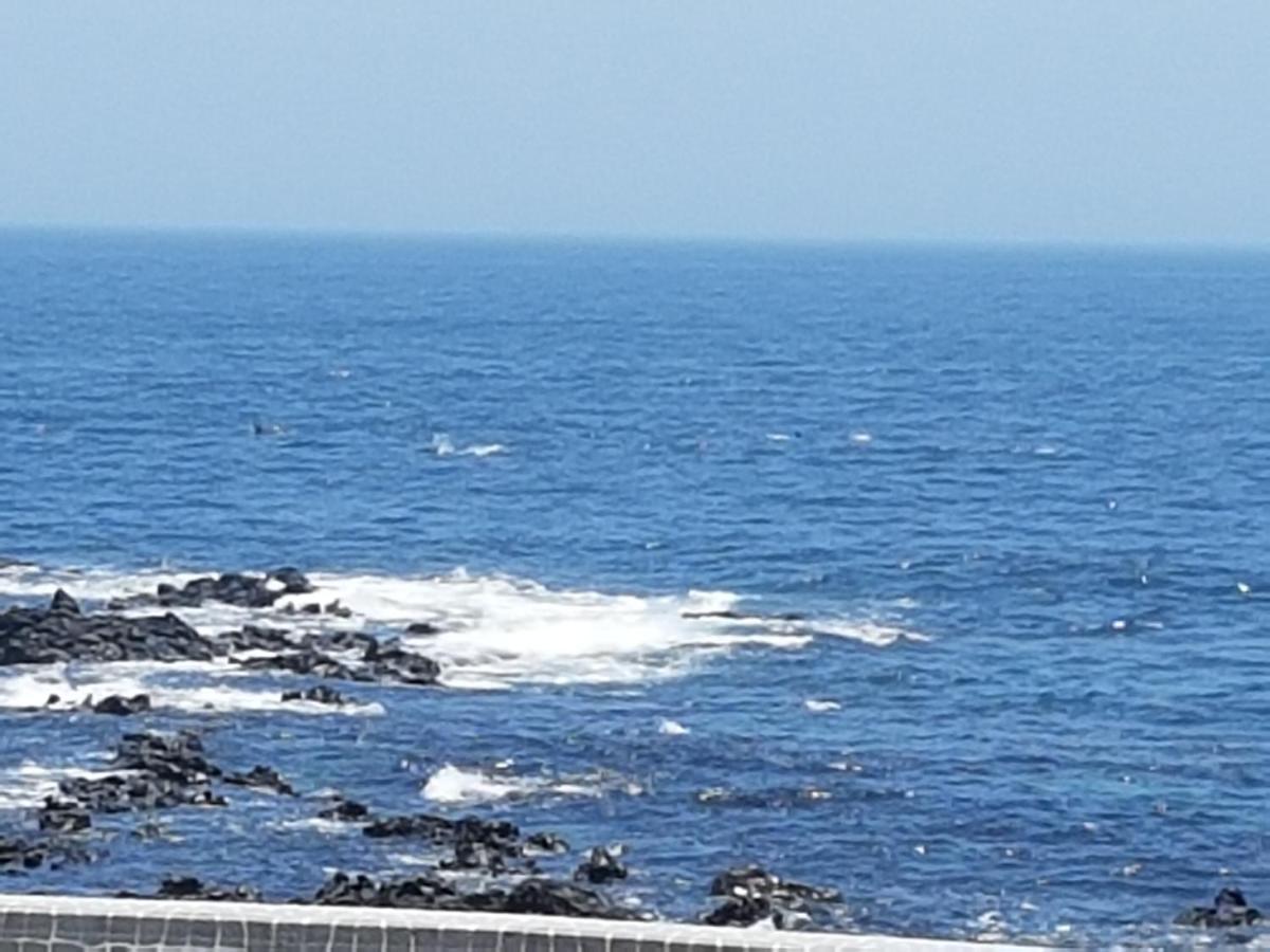 济州阿莫赛度假屋 西归浦市 外观 照片