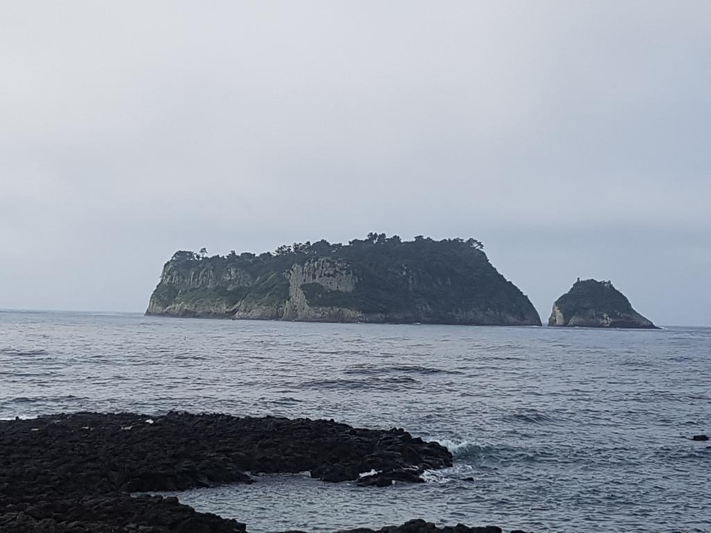 济州阿莫赛度假屋 西归浦市 外观 照片